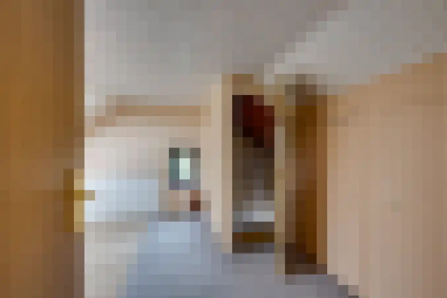 Gebrande Hoefstraat 17 Rucphen thumbnail 37