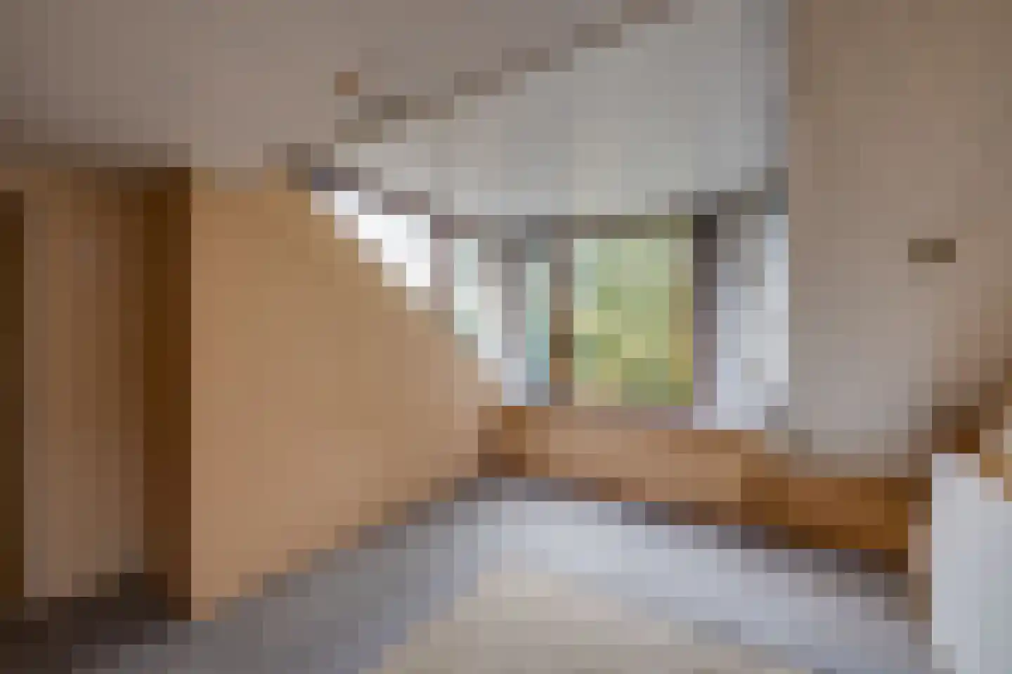 Gebrande Hoefstraat 17 Rucphen thumbnail 38