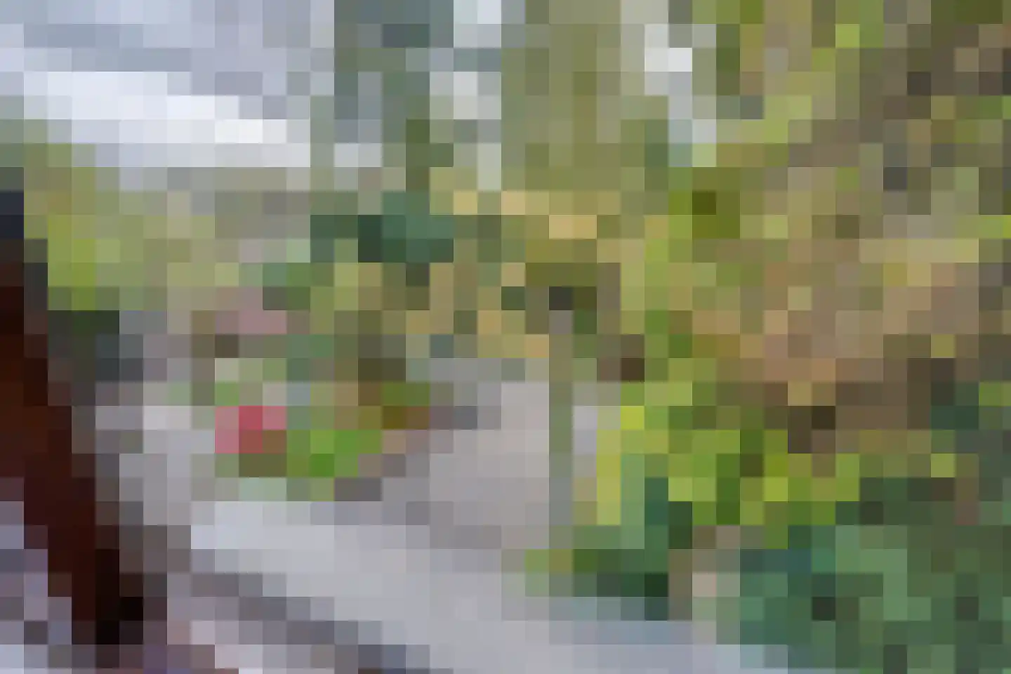 Gebrande Hoefstraat 17 Rucphen thumbnail 45