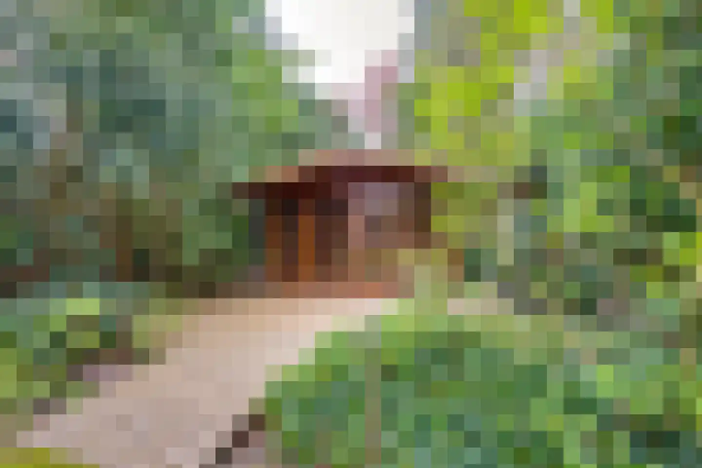 Gebrande Hoefstraat 17 Rucphen thumbnail 48