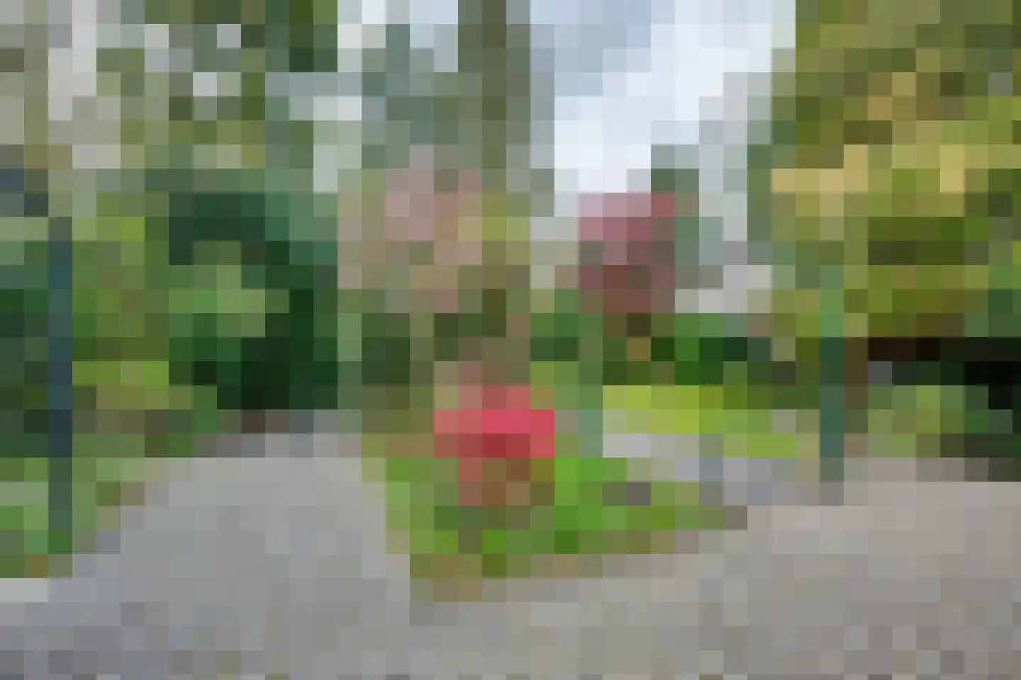 Gebrande Hoefstraat 17 Rucphen thumbnail 51