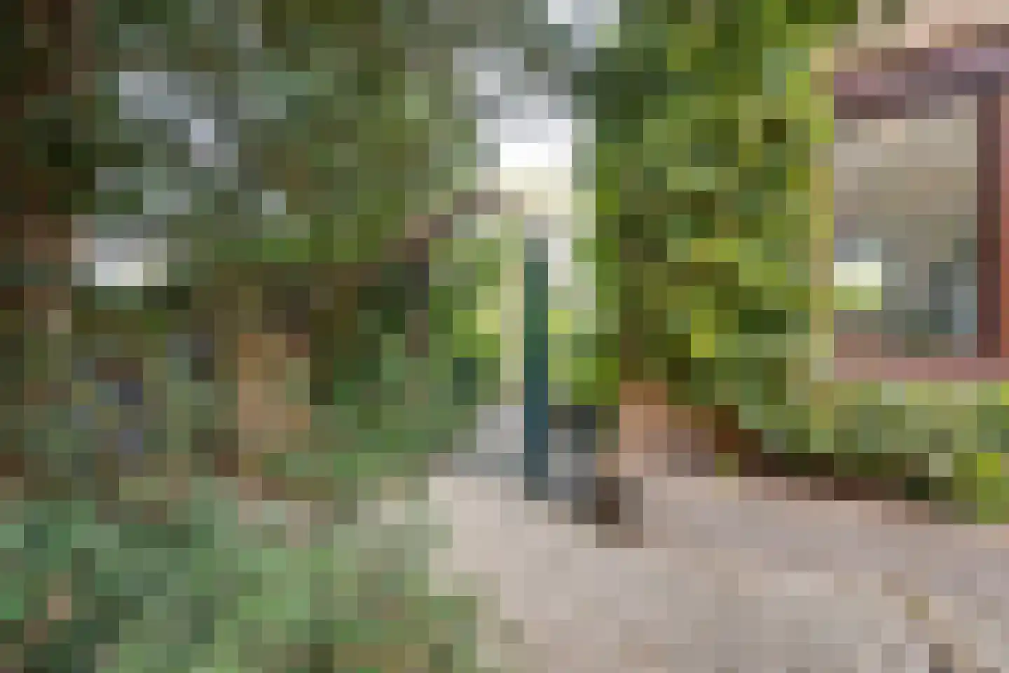 Gebrande Hoefstraat 17 Rucphen thumbnail 52