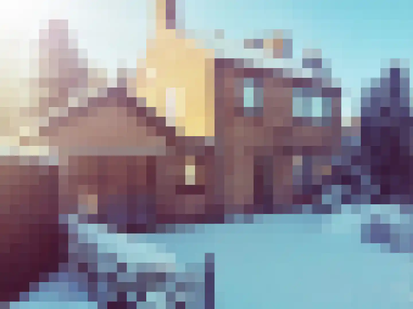 Gebrande Hoefstraat 17 Rucphen thumbnail 54