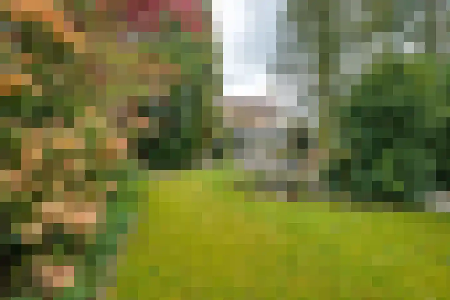 Gebrande Hoefstraat 17 Rucphen thumbnail 6