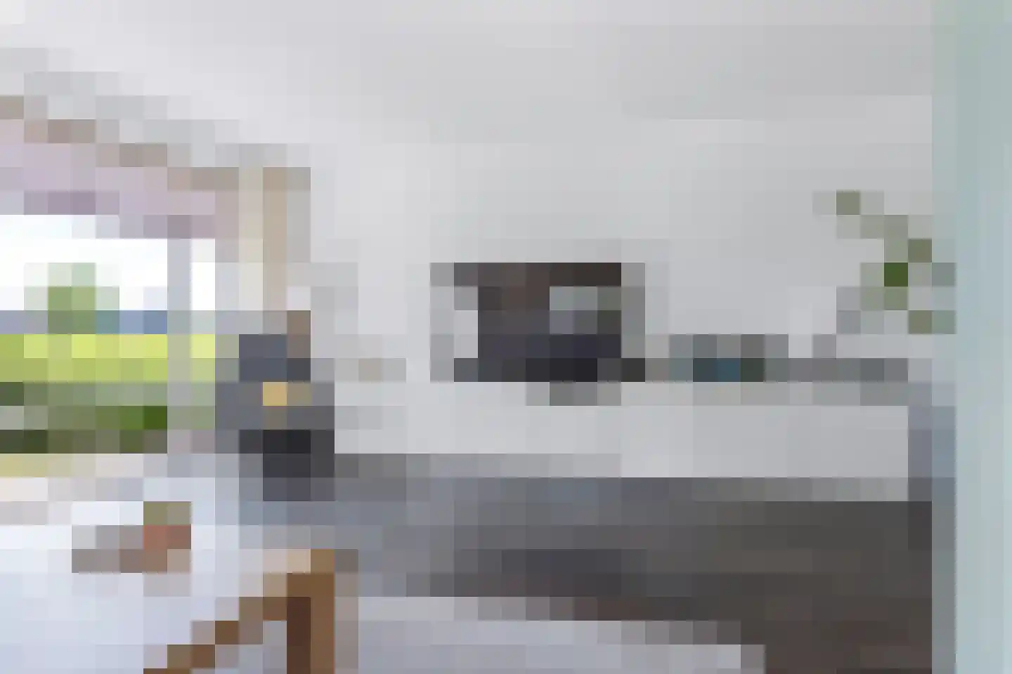 Gebroeders Bonnemastrjitte 2 Workum thumbnail 12
