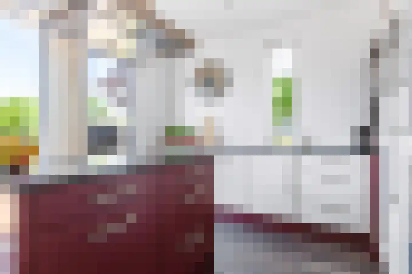 Gebroeders Bonnemastrjitte 2 Workum thumbnail 16