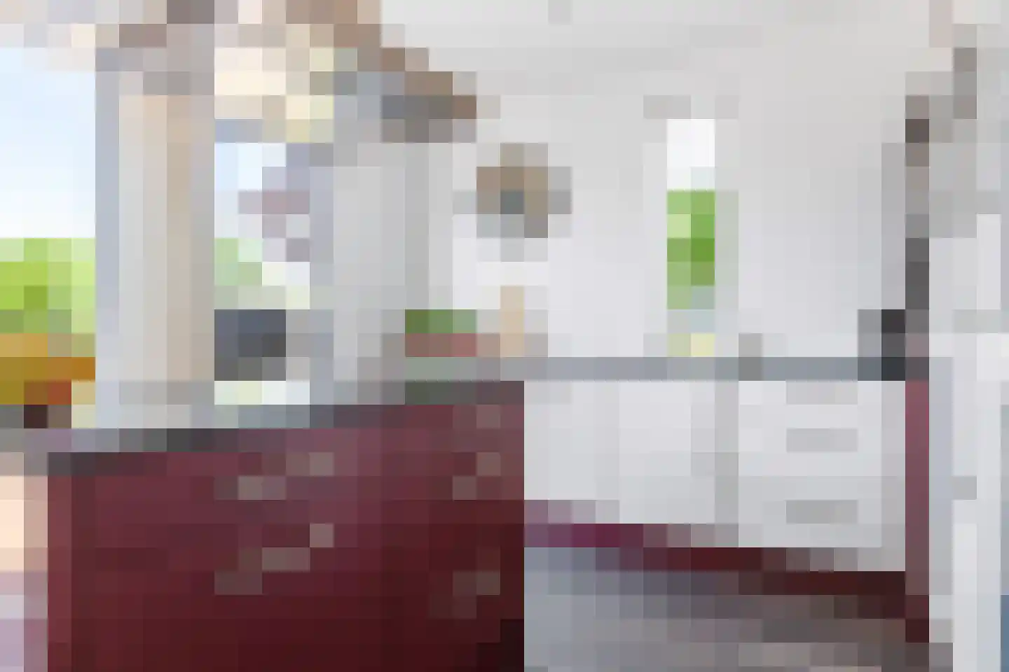 Gebroeders Bonnemastrjitte 2 Workum thumbnail 17