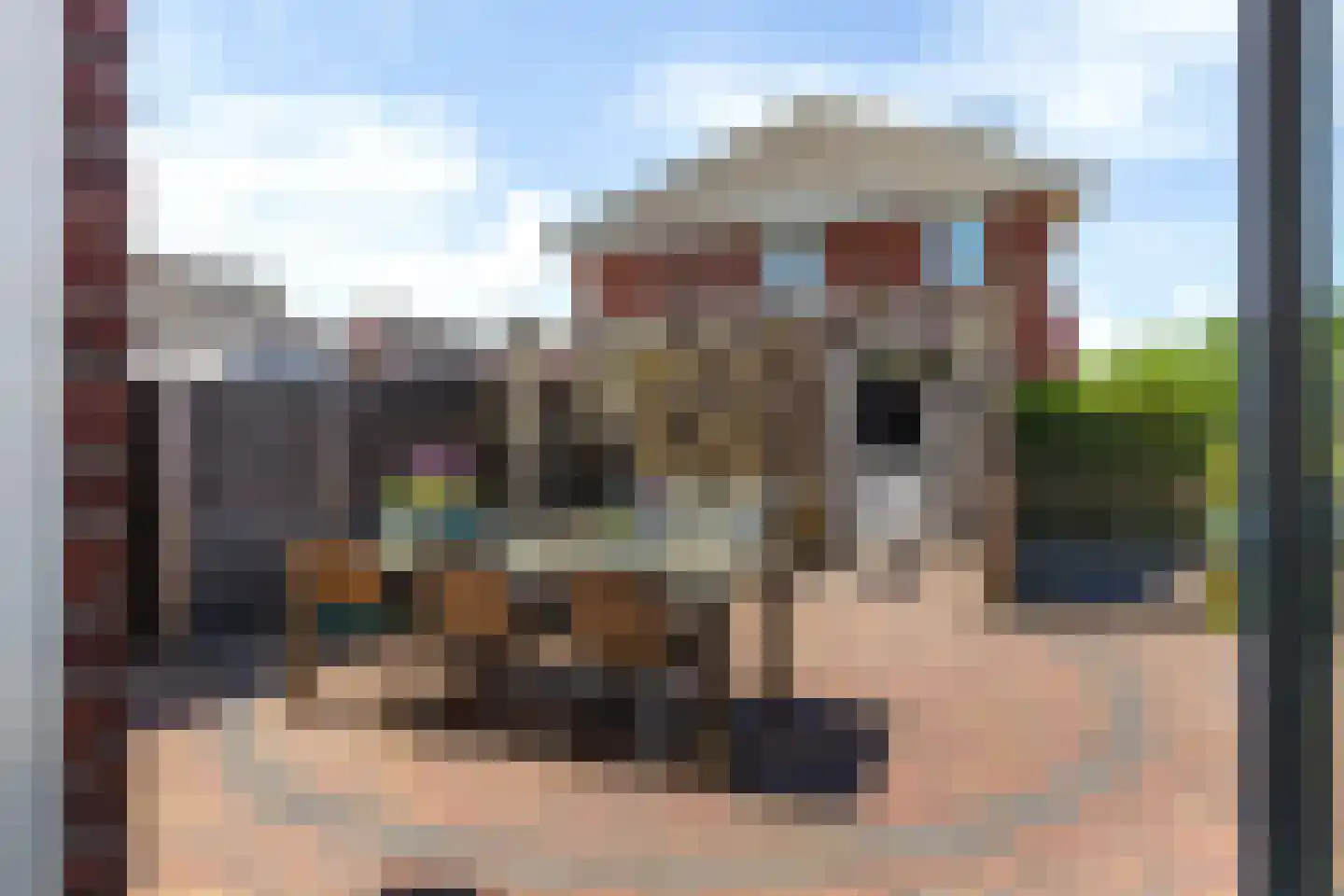 Gebroeders Bonnemastrjitte 2 Workum thumbnail 22