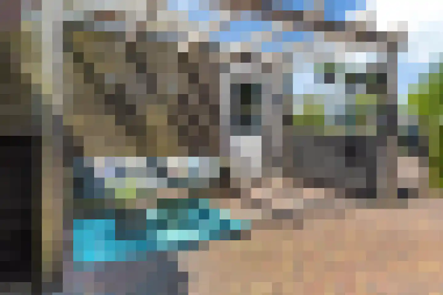 Gebroeders Bonnemastrjitte 2 Workum thumbnail 24