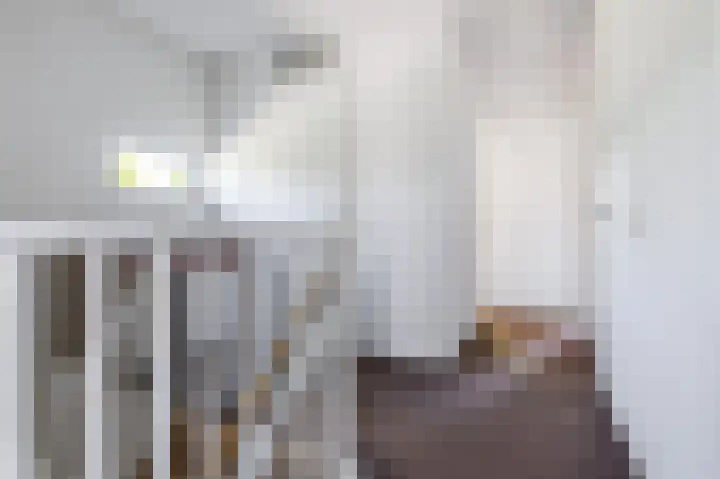 Gebroeders Bonnemastrjitte 2 Workum thumbnail 28