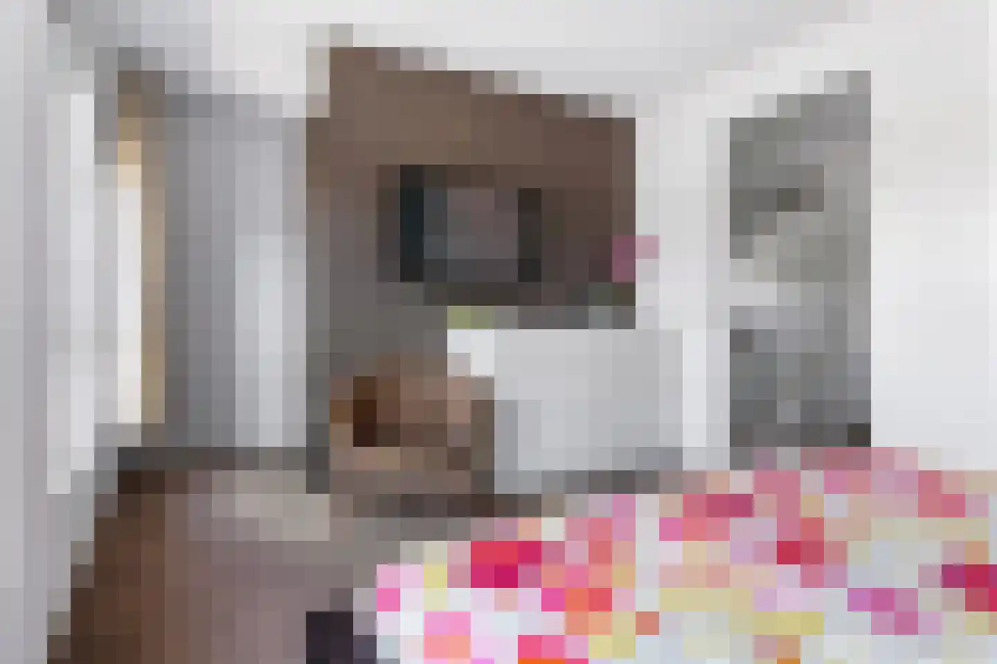 Gebroeders Bonnemastrjitte 2 Workum thumbnail 31