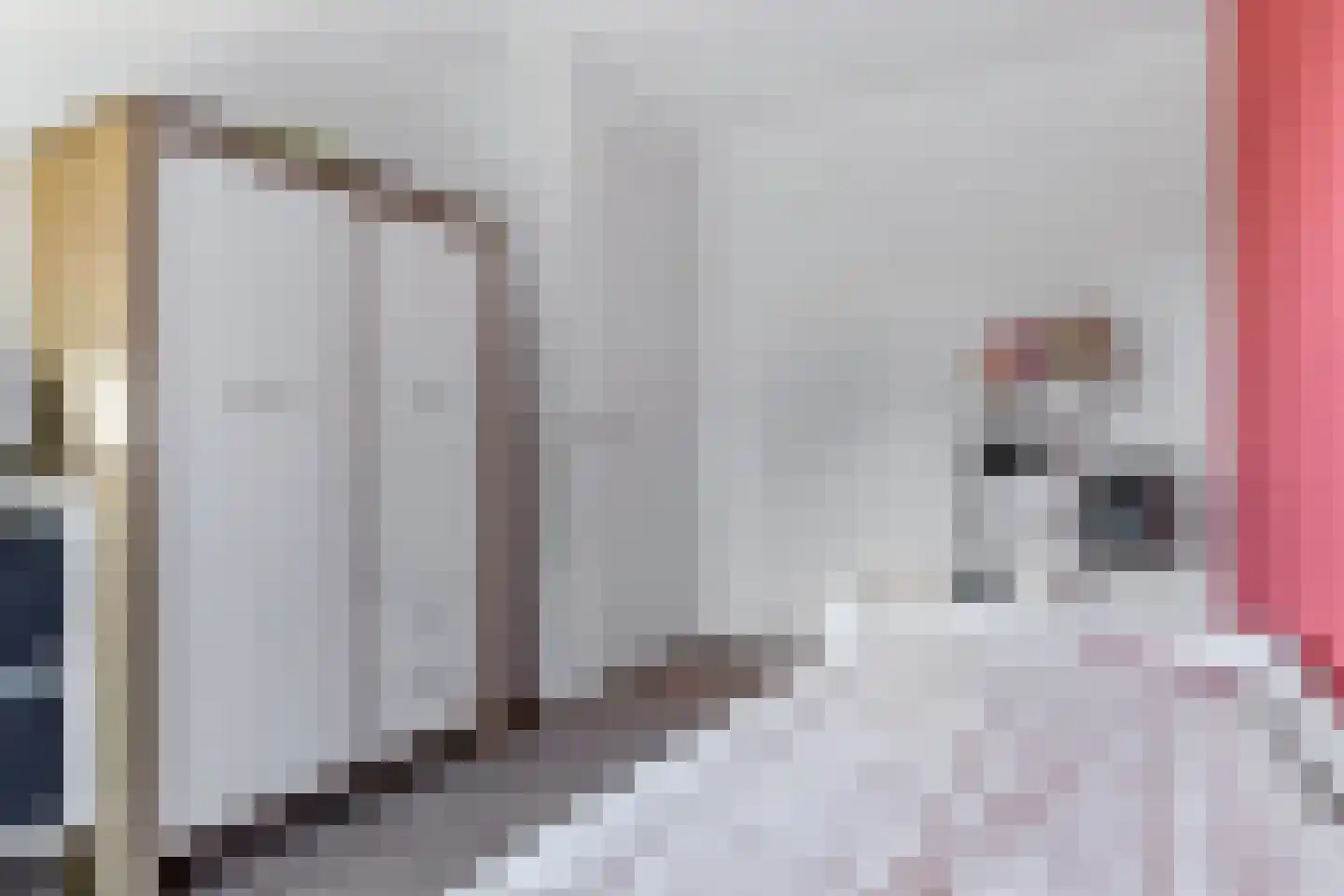 Gebroeders Bonnemastrjitte 2 Workum thumbnail 34