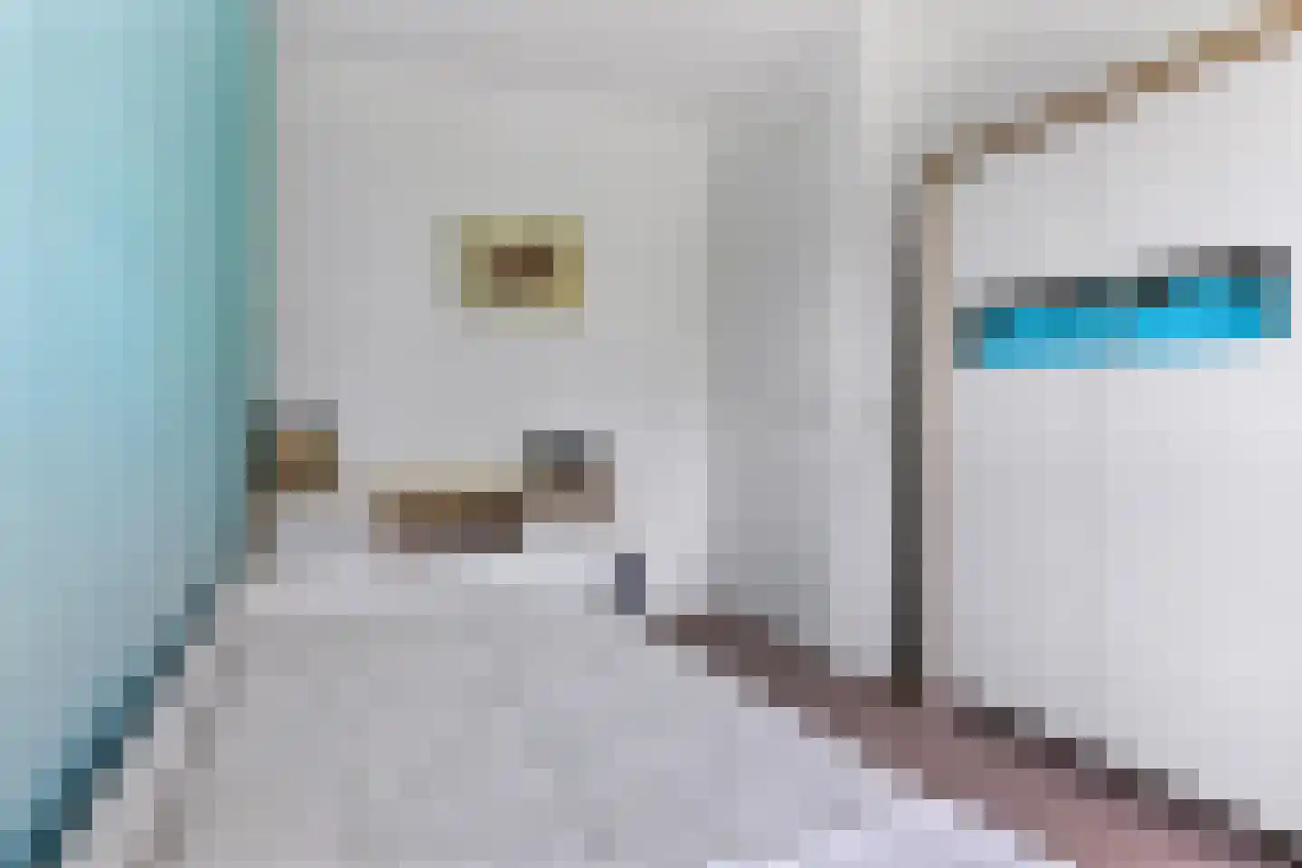 Gebroeders Bonnemastrjitte 2 Workum thumbnail 37