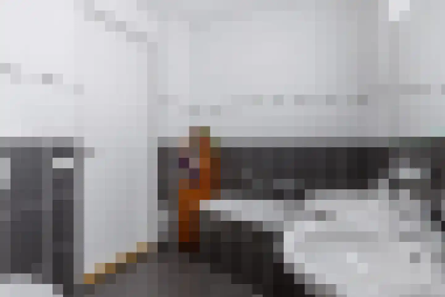 Gebroeders Bonnemastrjitte 2 Workum thumbnail 39