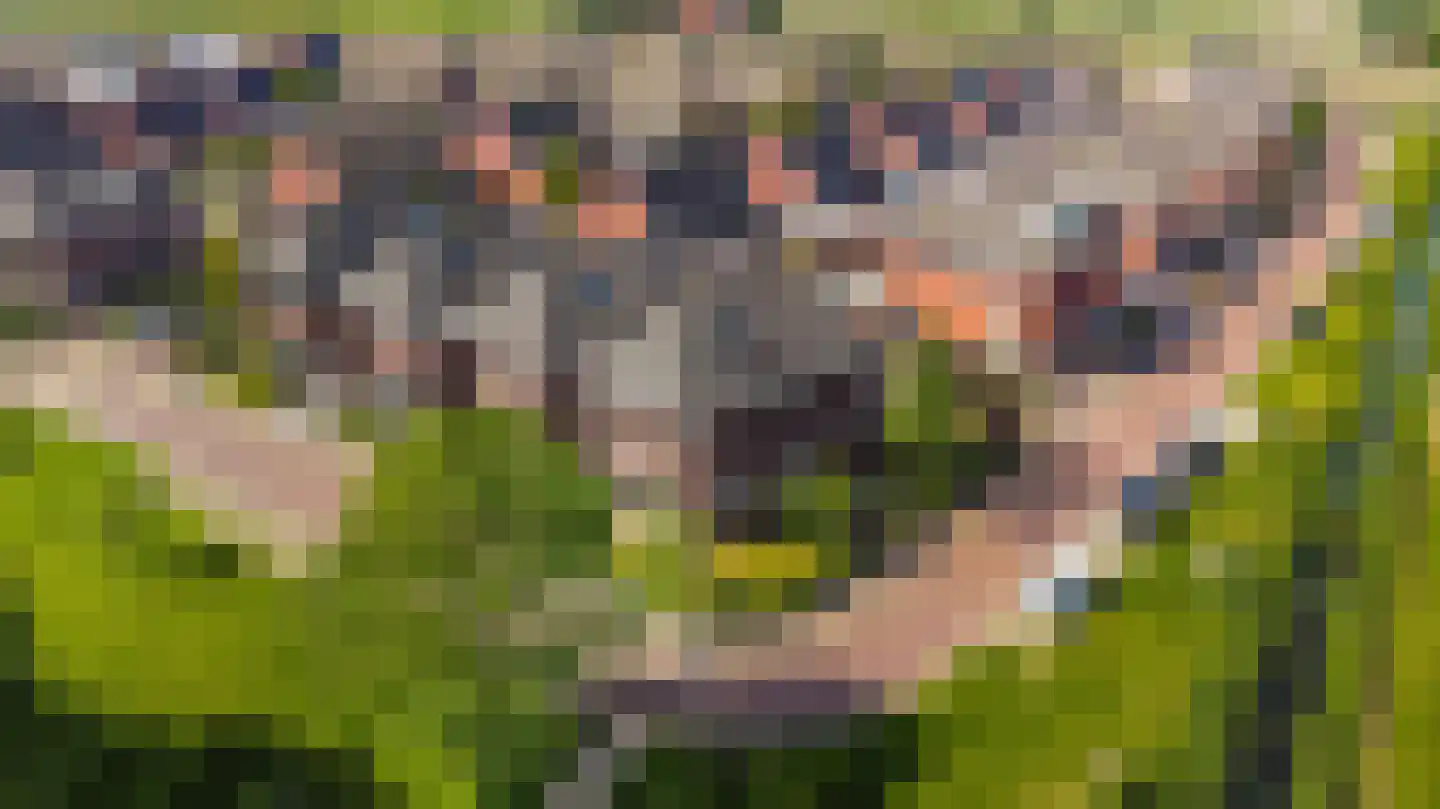 Gebroeders Bonnemastrjitte 2 Workum thumbnail 47