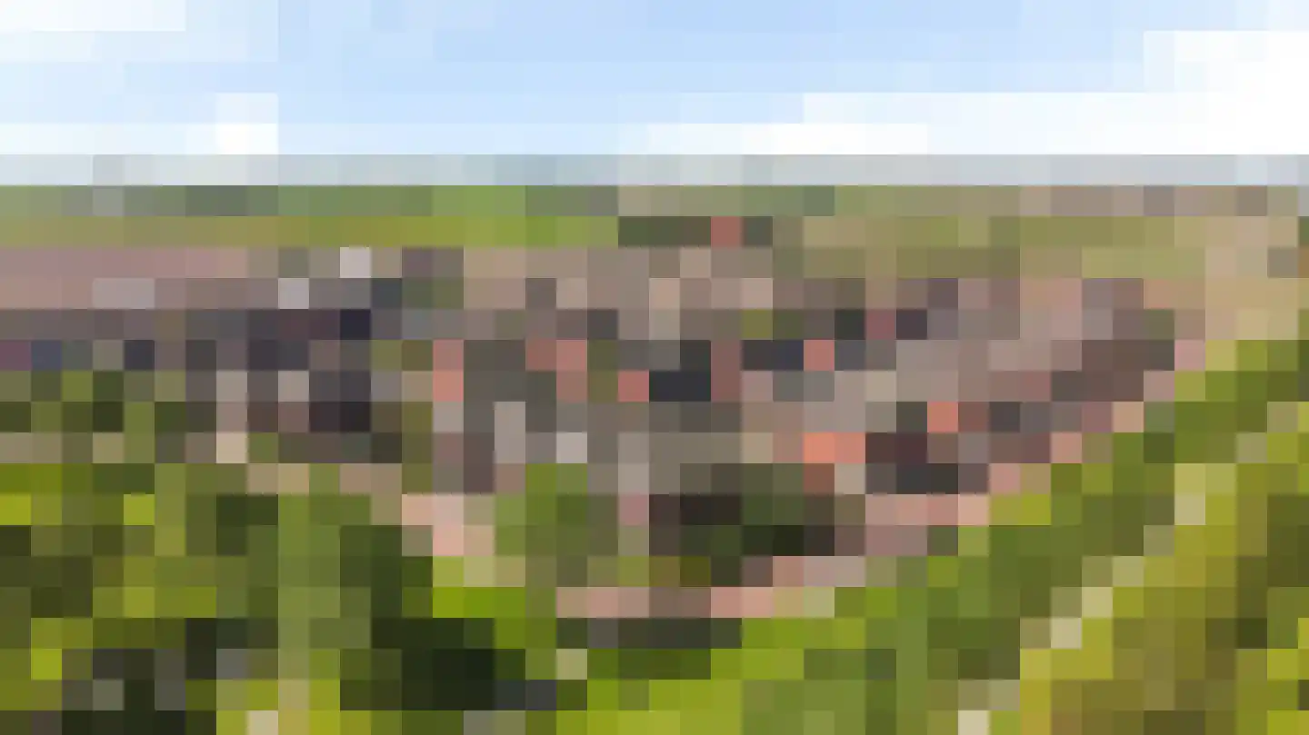 Gebroeders Bonnemastrjitte 2 Workum thumbnail 48