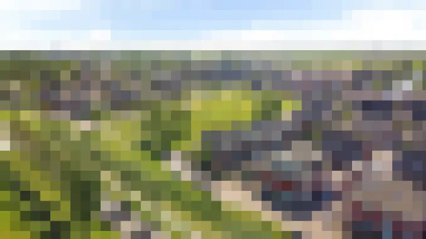 Gebroeders Bonnemastrjitte 2 Workum thumbnail 49