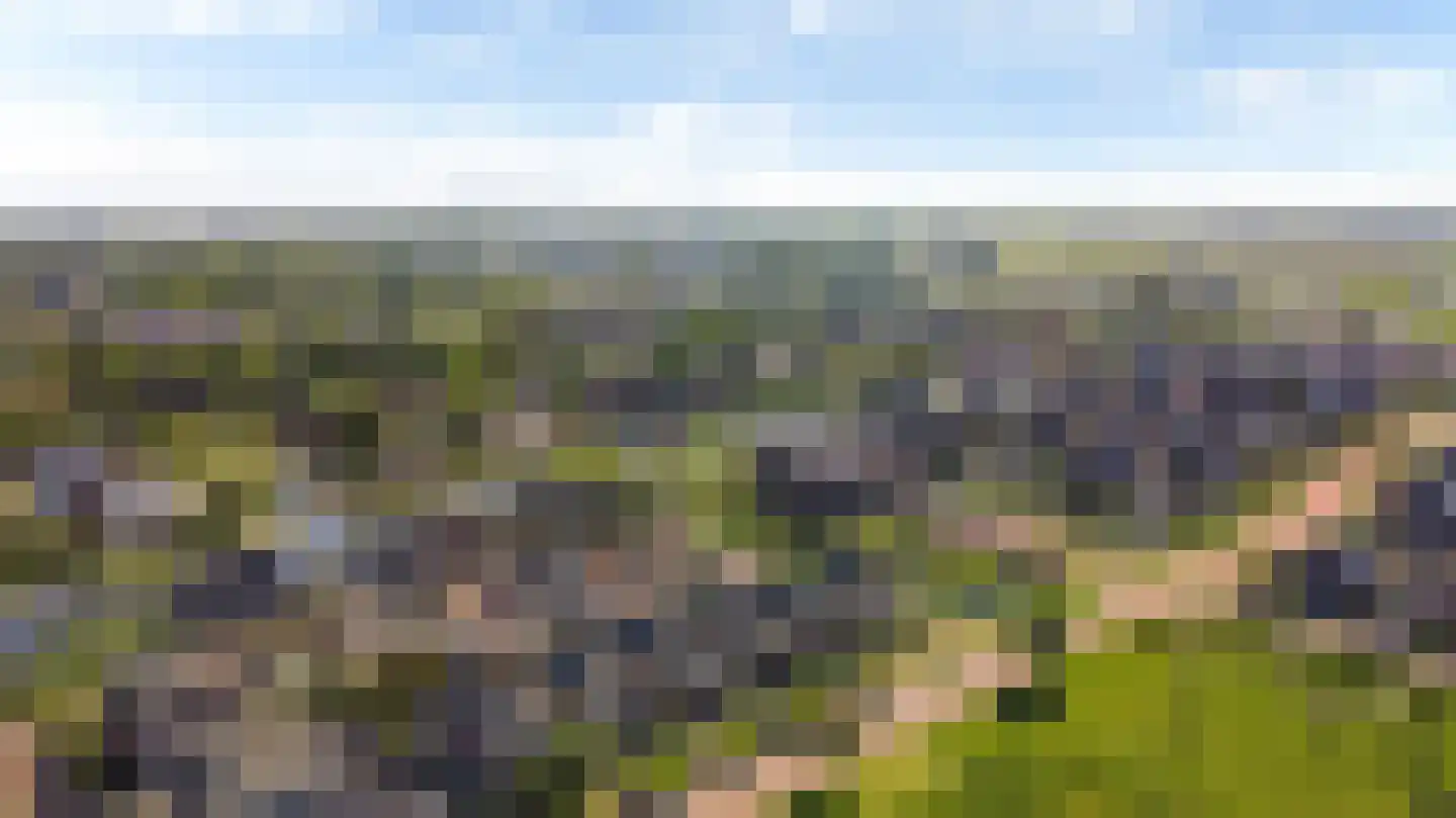 Gebroeders Bonnemastrjitte 2 Workum thumbnail 50