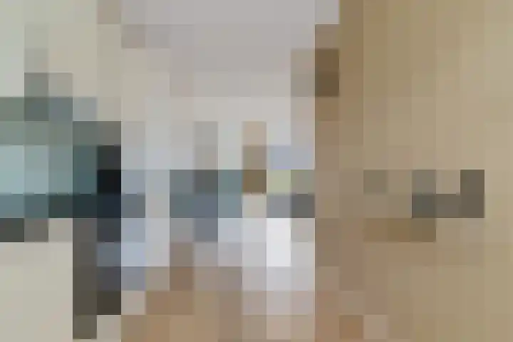 Gebroeders Bonnemastrjitte 21 Workum thumbnail 12
