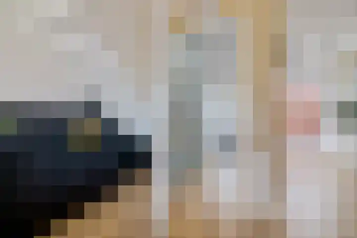 Gebroeders Bonnemastrjitte 21 Workum thumbnail 13