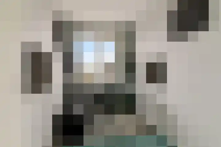 Gebroeders Bonnemastrjitte 21 Workum thumbnail 23