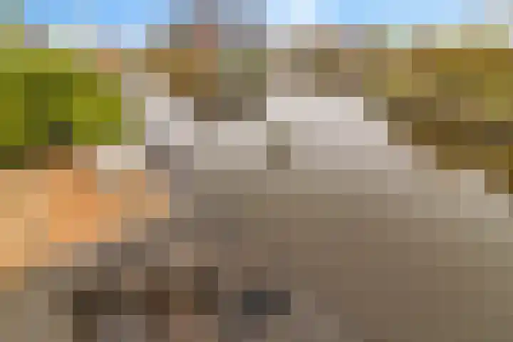 Gebroeders Bonnemastrjitte 21 Workum thumbnail 33