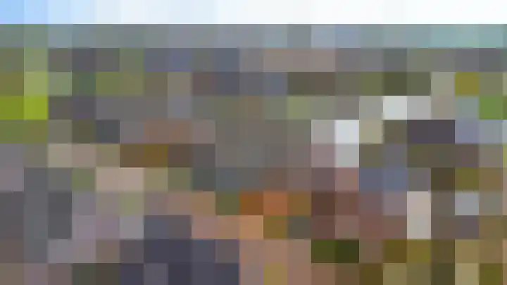 Gebroeders Bonnemastrjitte 21 Workum thumbnail 42