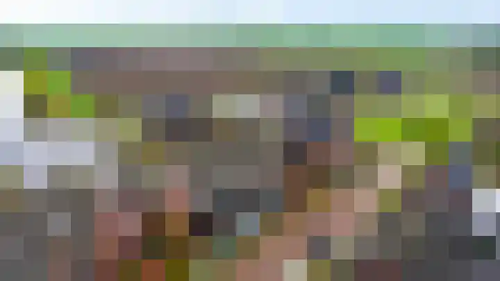Gebroeders Bonnemastrjitte 21 Workum thumbnail 43
