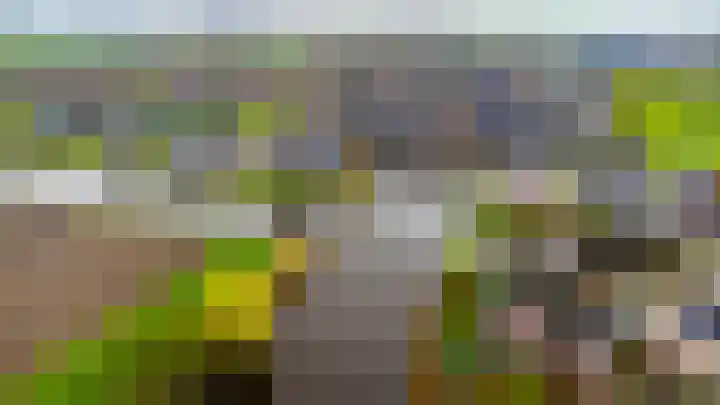 Gebroeders Bonnemastrjitte 21 Workum thumbnail 45