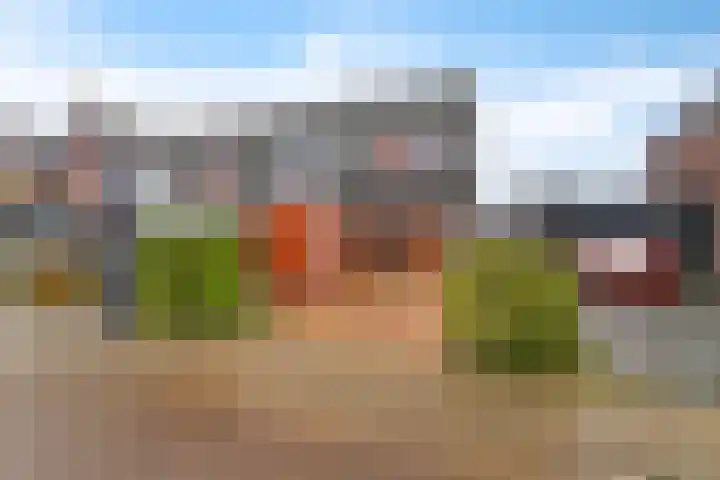 Gebroeders Bonnemastrjitte 21 Workum thumbnail 47