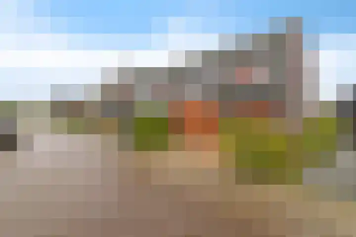 Gebroeders Bonnemastrjitte 21 Workum thumbnail 48