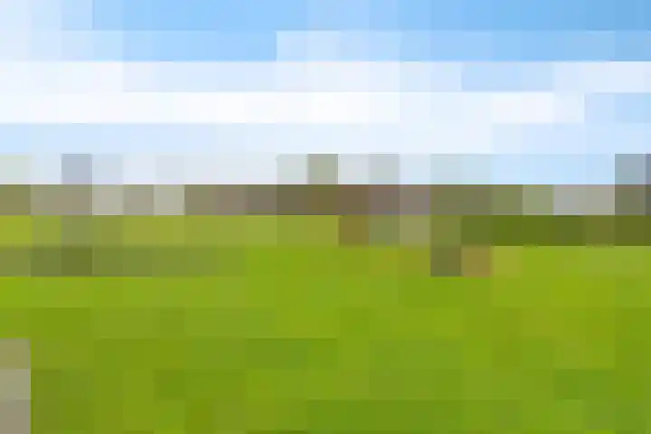 Gebroeders Bonnemastrjitte 21 Workum thumbnail 49