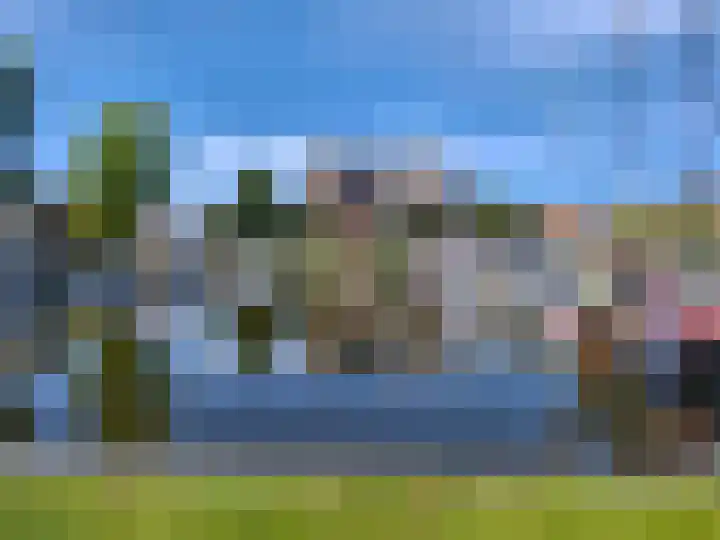 Gebroeders Bonnemastrjitte 21 Workum thumbnail 50
