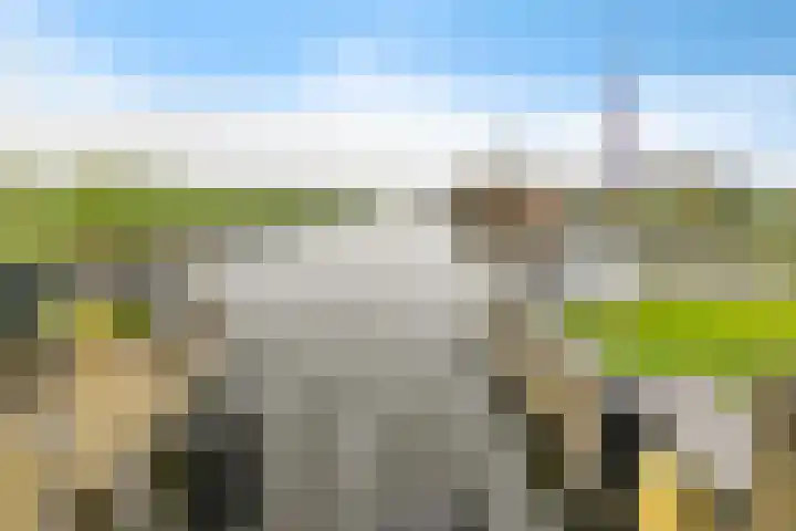 Gebroeders Bonnemastrjitte 21 Workum thumbnail 53