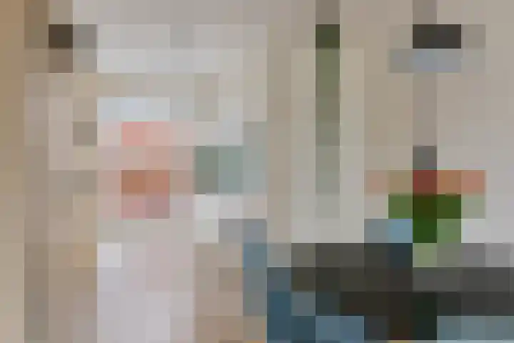 Gebroeders Bonnemastrjitte 21 Workum thumbnail 9