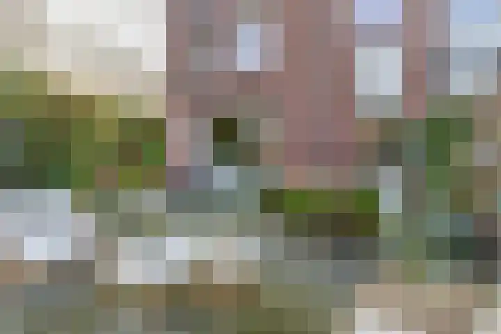 Gebroeders Daelstraat 25 Venlo thumbnail 17