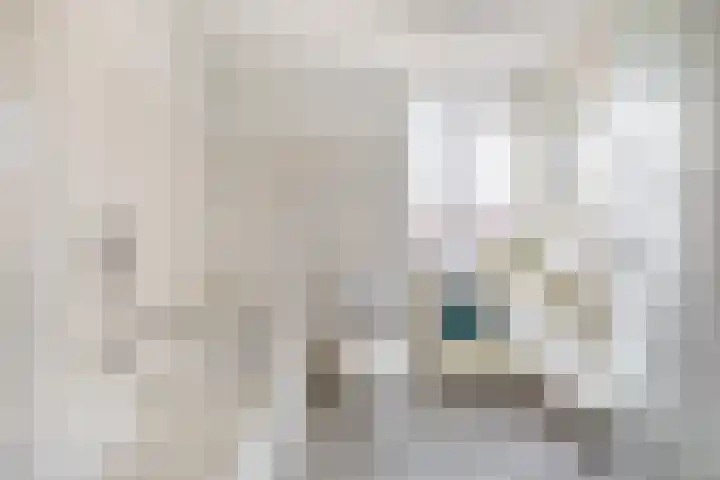 Gebroeders Daelstraat 25 Venlo thumbnail 23