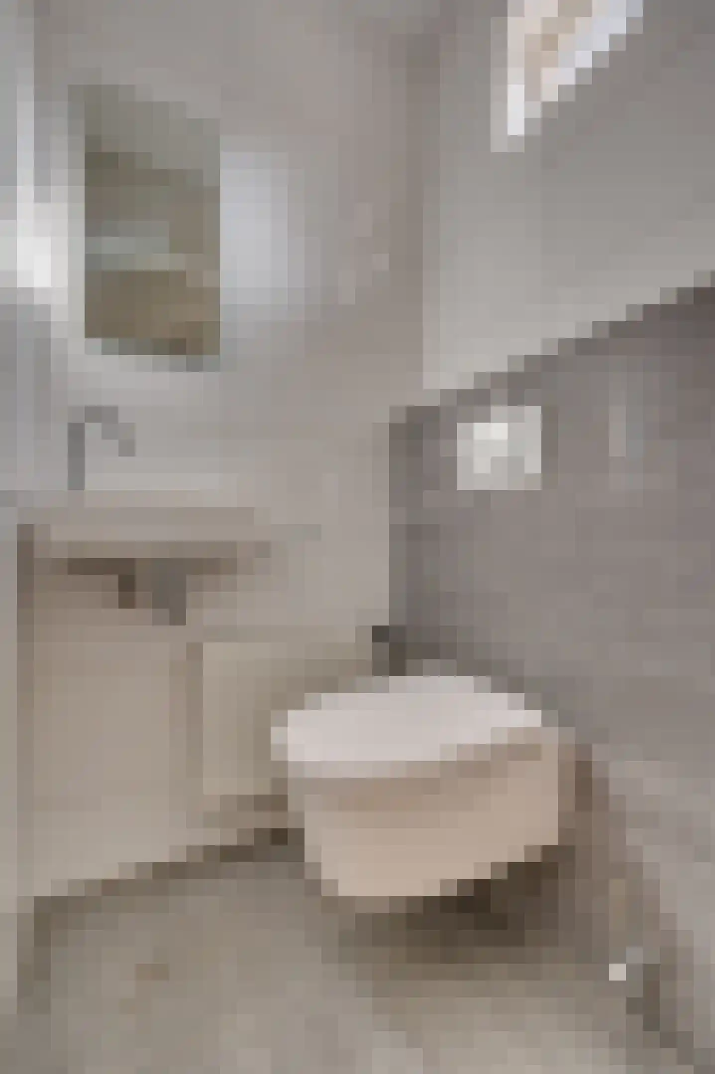 Gebroeders Daelstraat 4 Venlo thumbnail 7