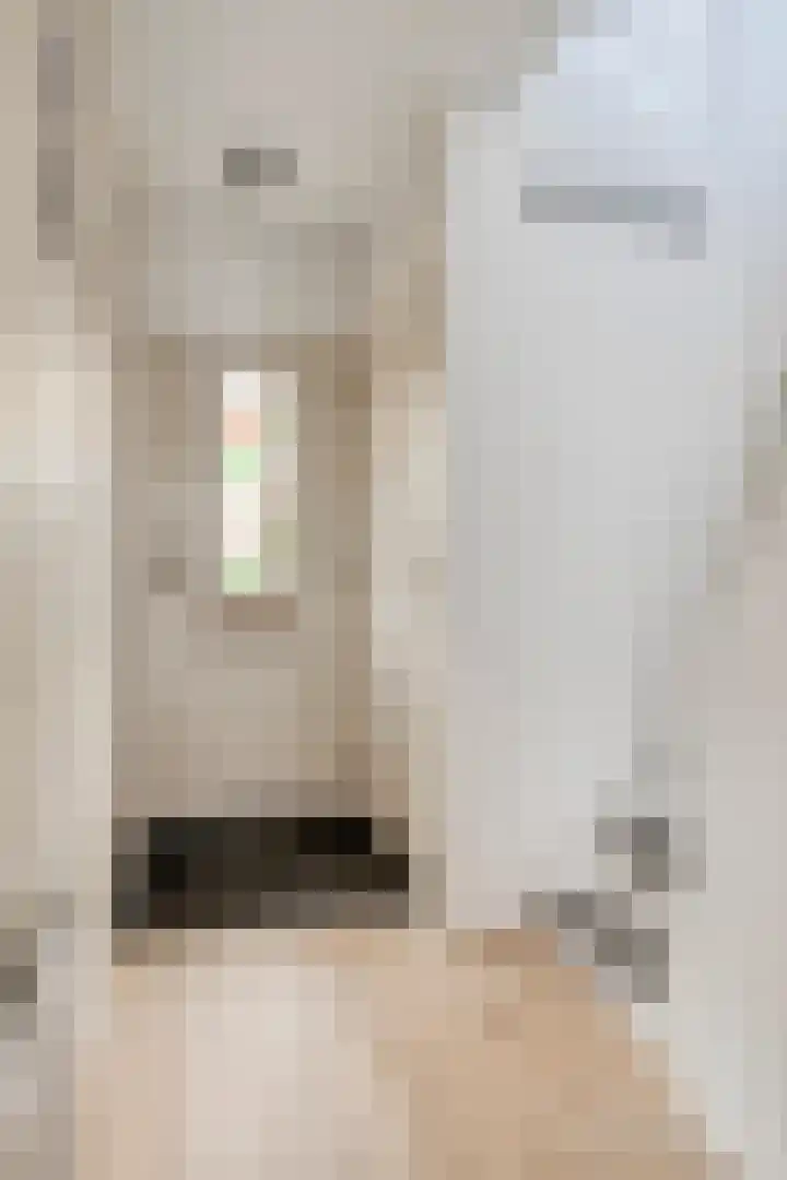 Gebroeders de Koninglaan 12 Best thumbnail 10