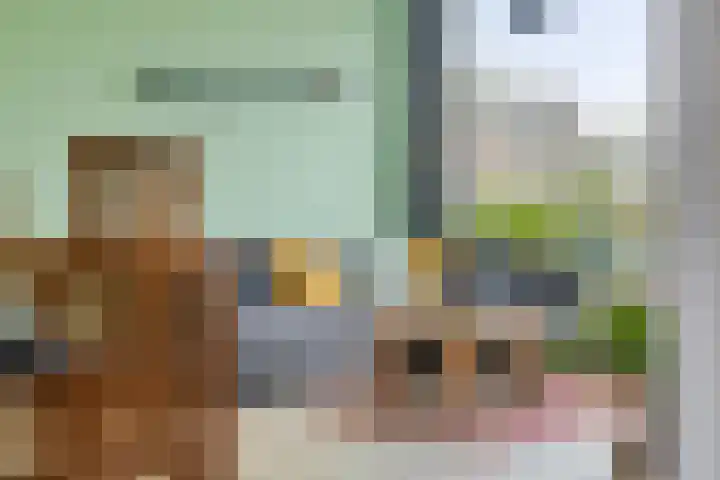Gebroeders de Koninglaan 12 Best thumbnail 14