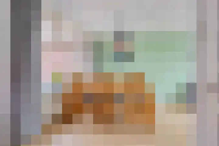 Gebroeders de Koninglaan 12 Best thumbnail 15