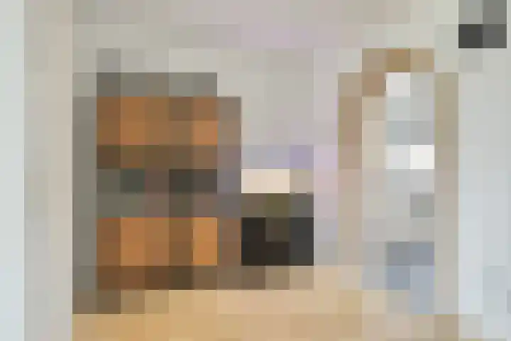Gebroeders de Koninglaan 12 Best thumbnail 16