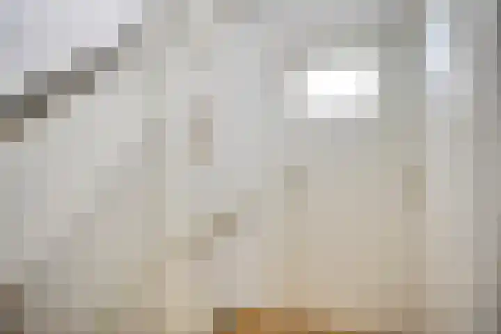 Gebroeders de Koninglaan 12 Best thumbnail 21