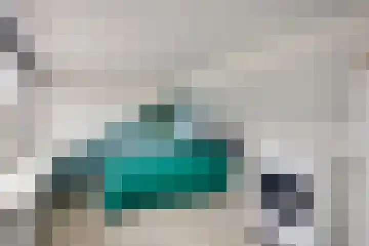 Gebroeders de Koninglaan 12 Best thumbnail 28