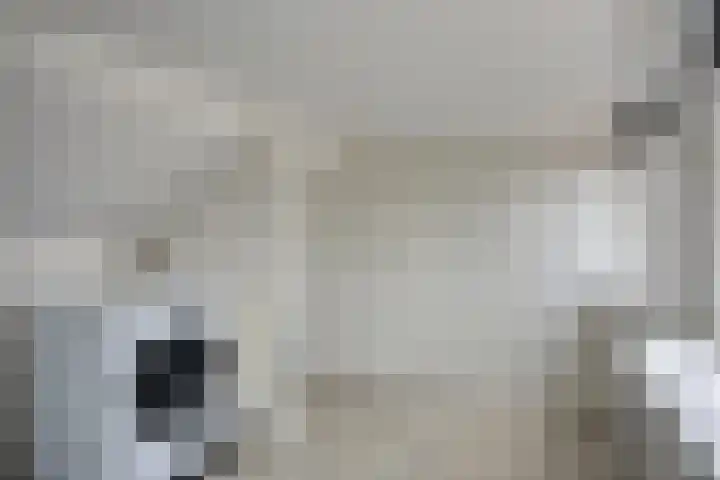 Gebroeders de Koninglaan 12 Best thumbnail 29