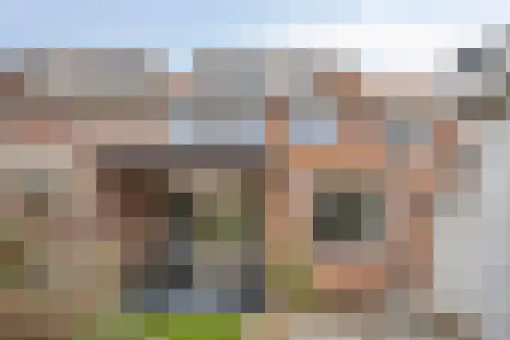 Gebroeders de Koninglaan 12 Best thumbnail 5