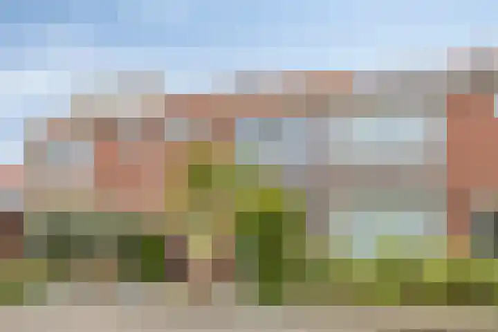 Gebroeders de Koninglaan 12 Best thumbnail 7