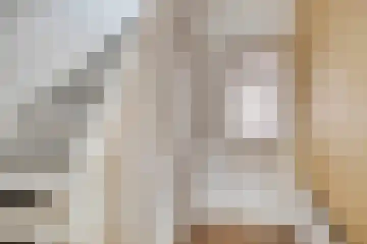 Gebroeders de Koninglaan 12 Best thumbnail 8