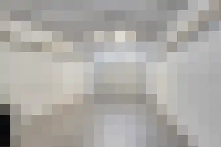 Gebroeders de Koninglaan 16 Best thumbnail 19