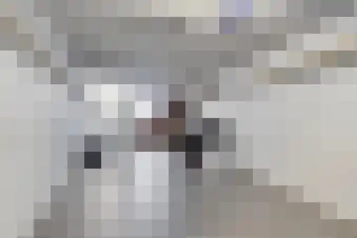 Gebroeders de Koninglaan 16 Best thumbnail 20